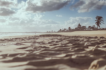 Low Angle Shot of Sandy Beach with Palm Trees and Cloudy Sky