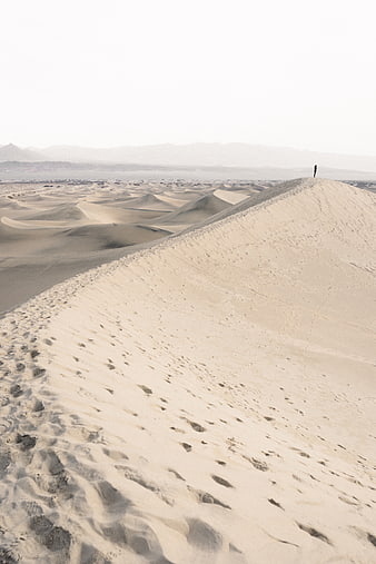 Lone figure standing on vast desert sand dune ridge