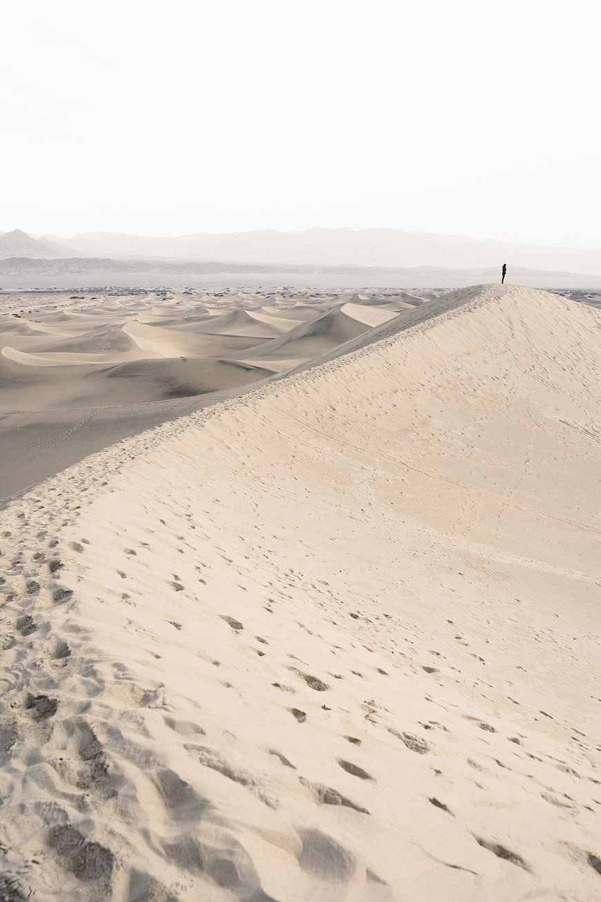 Lone figure standing on vast desert sand dune ridge
