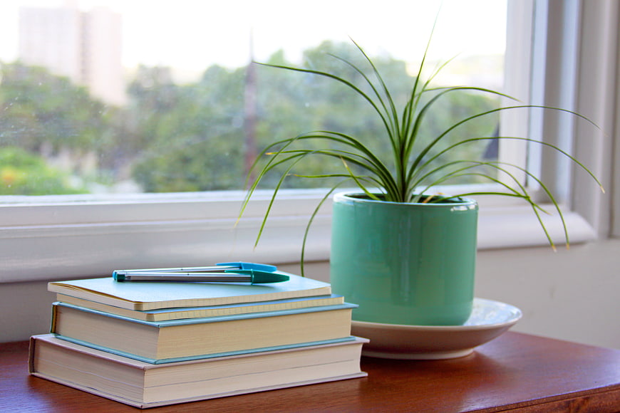 Stack of Books and Potted Plant on Wooden Table by Window