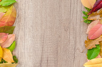 Autumn Leaves Border on Light Wooden Background