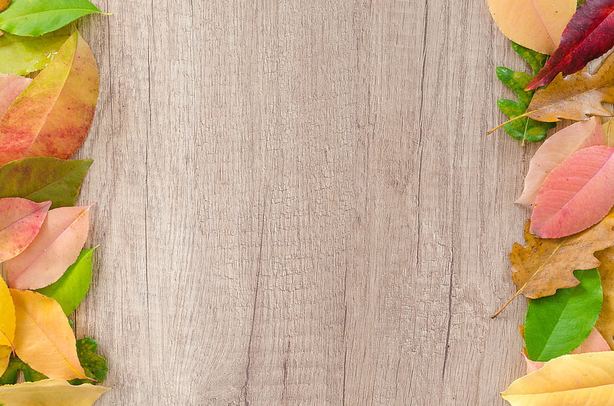 Autumn Leaves Border on Light Wooden Background