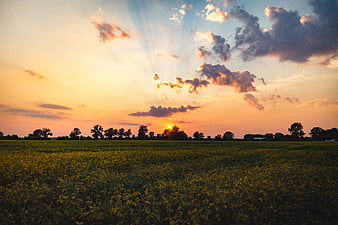 Golden Sunset Over Green Field with Dramatic Clouds