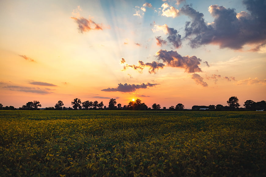 Golden Sunset Over Green Field with Dramatic Clouds