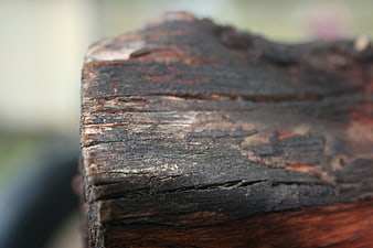 Close-up of weathered wood texture with natural grain