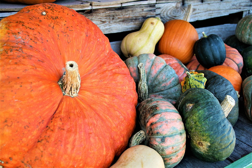 Variety of colorful pumpkins and squash in wooden crate