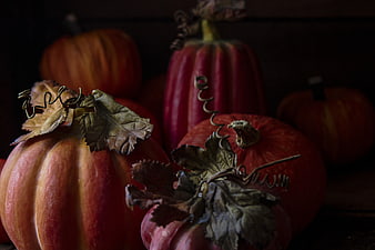 Dark moody autumn pumpkins and squash still life