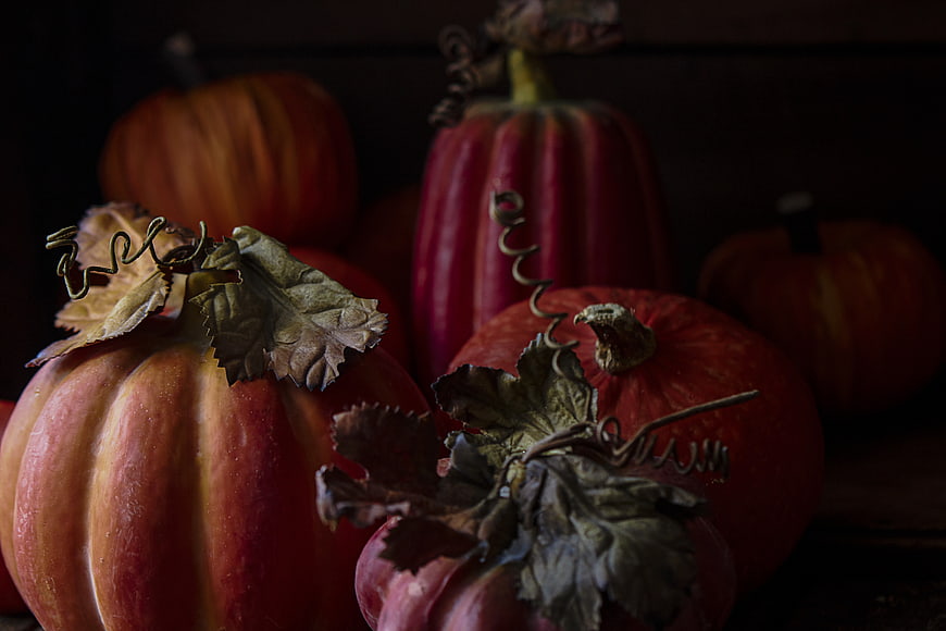 Dark moody autumn pumpkins and squash still life