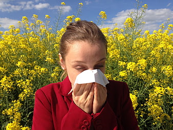 Woman sneezing in rapeseed field with tissue