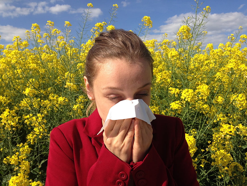 Woman sneezing in rapeseed field with tissue