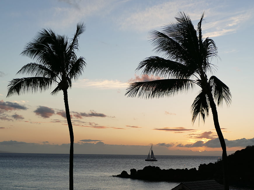 Silhouetted Palm Trees and Sailboat at Sunset