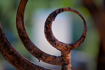 Close-up of Rusty Iron Scrollwork Detail