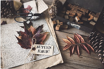 Autumn Magic Flat Lay with Vintage Letterpress Blocks and Dried Leaves