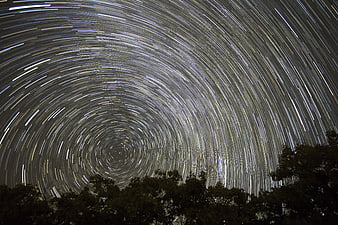 Star Trails Spinning Around Polaris Over Forest Silhouette