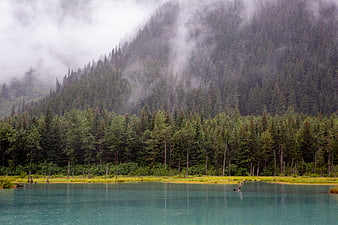 Misty turquoise lake with forested mountain landscape