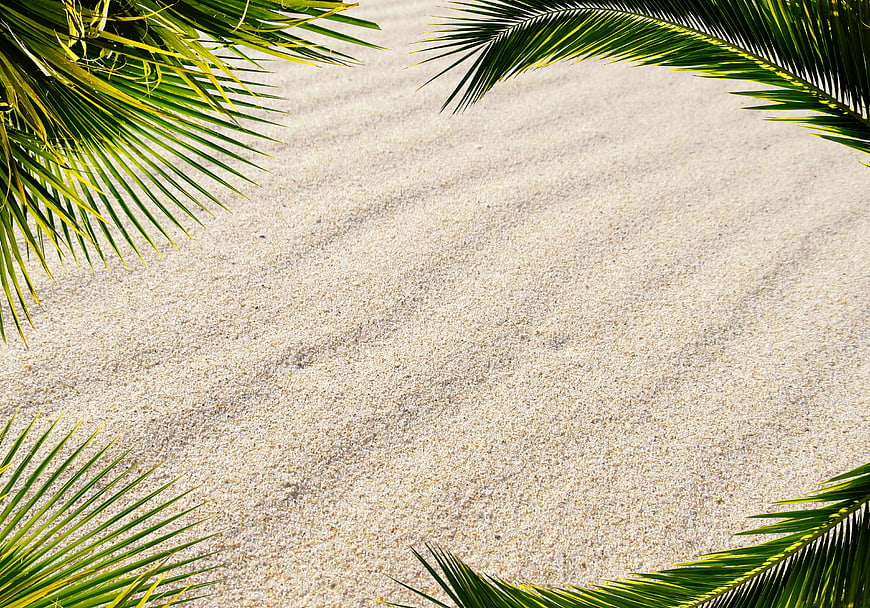 Tropical Palm Leaves Framing White Sand Beach Background