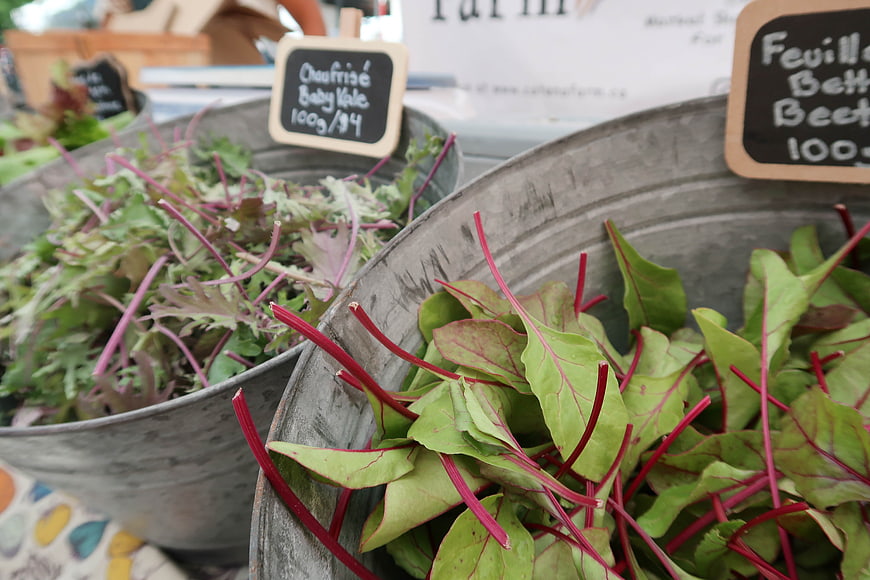 Fresh Beet Greens and Baby Kale in Metal Buckets at Farmers Market