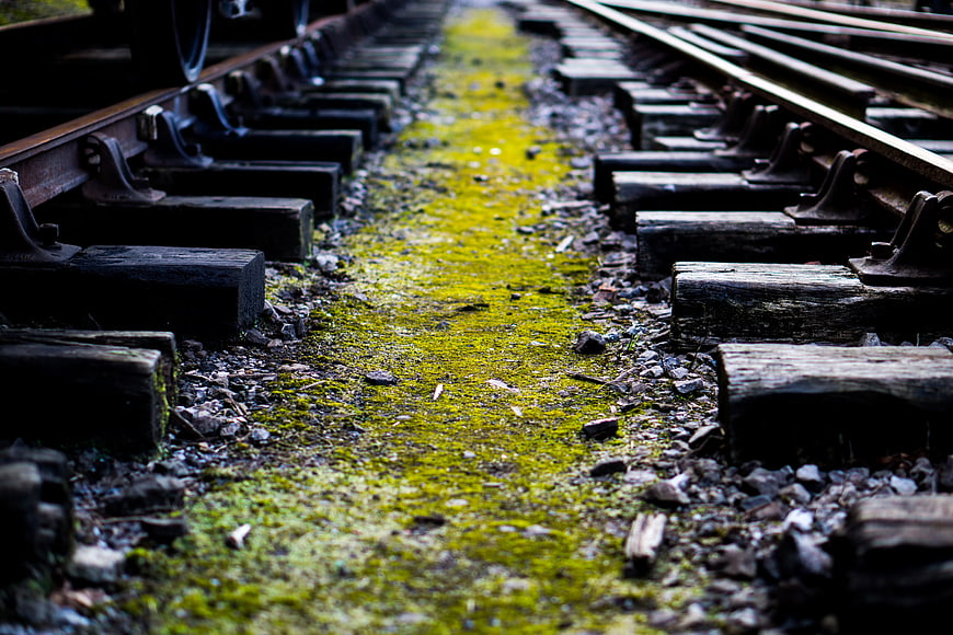 Mossy Railway Tracks with Leading Lines