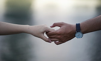 Adult and Child Holding Hands Outdoors