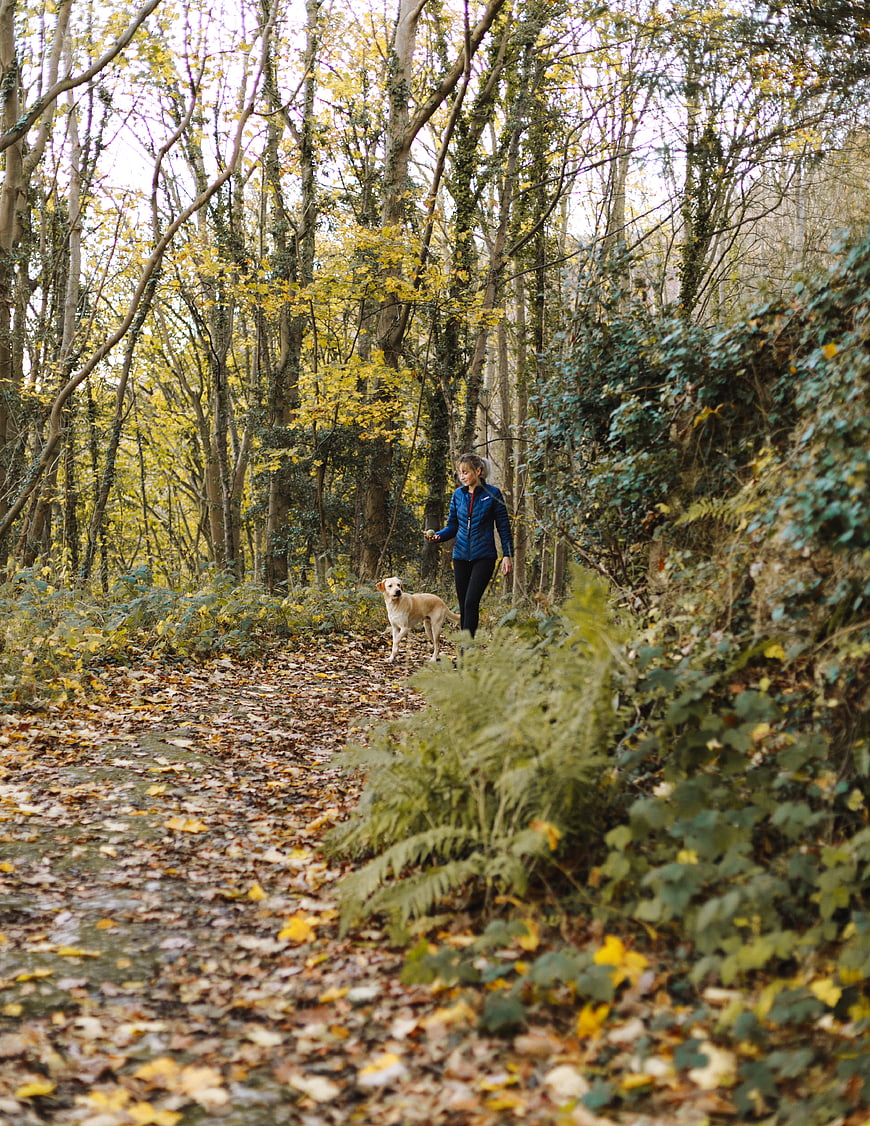 Woman hiking with dog on autumn forest path