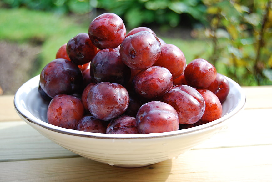 Fresh Red Plums in a White Ceramic Bowl on Wooden Table