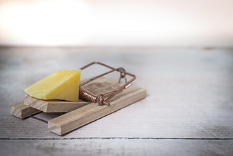 Wooden Mousetrap with Cheese Bait on Rustic Table