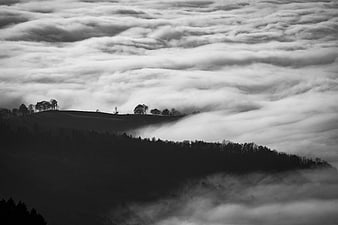 Black and white landscape of rolling hills above sea of clouds
