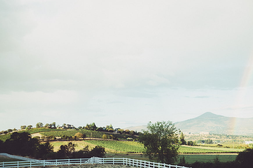 Rolling Vineyard Hills with White Fence and Rainbow