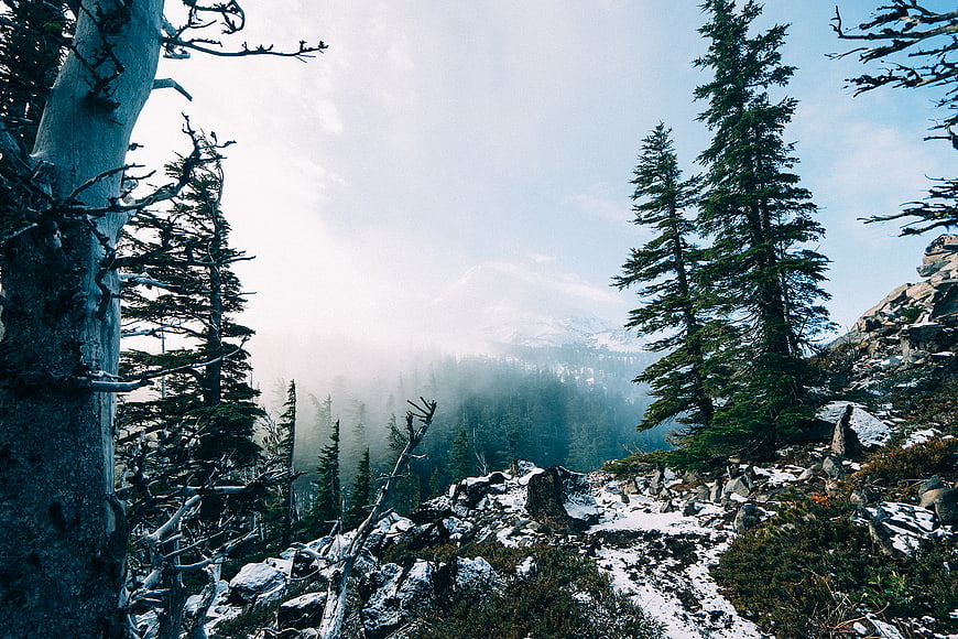 Snowy Mountain Trail Through Pine Forest with Misty Peaks