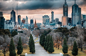 Melbourne CBD Skyline View From Kings Domain Park At Dusk