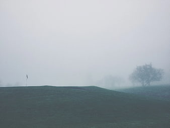 Misty Golf Course Landscape with Solitary Tree