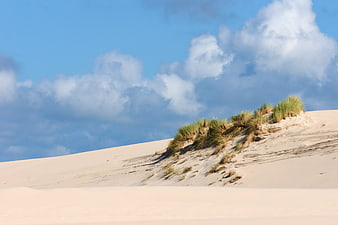 Sand Dunes With Coastal Grass Under Blue Sky