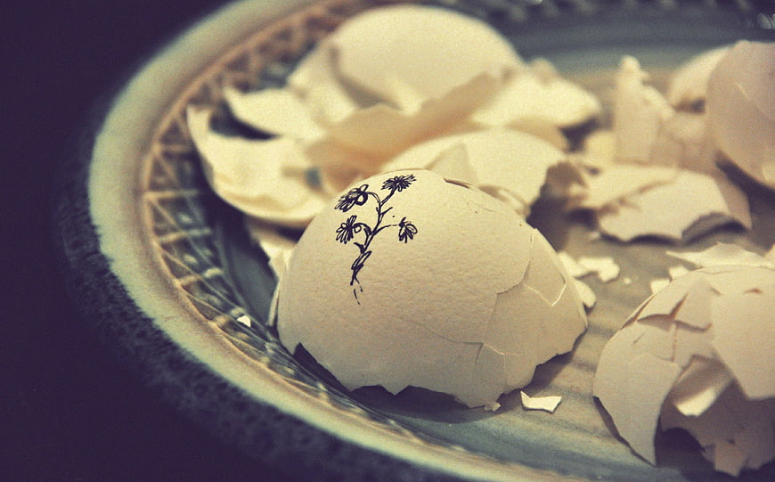 Broken eggshells with floral drawing on vintage plate