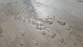 Close-up of wet sand with water bubbles and ripples on a beach
