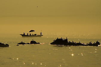 Silhouetted Fishing Boat and Birds on Misty Golden Sea