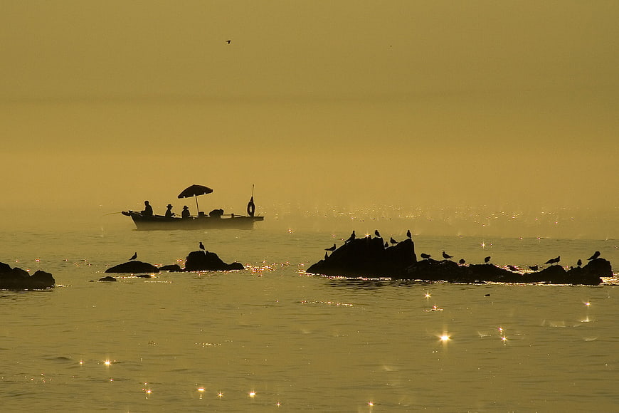 Silhouetted Fishing Boat and Birds on Misty Golden Sea