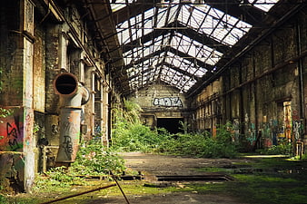 Abandoned industrial factory interior with overgrown vegetation and graffiti