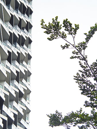 Modern Apartment Building with Tree Branches Against White Sky