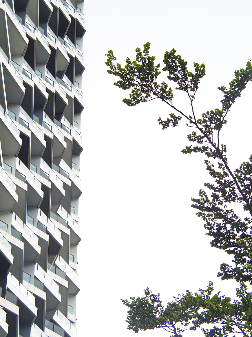 Modern Apartment Building with Tree Branches Against White Sky
