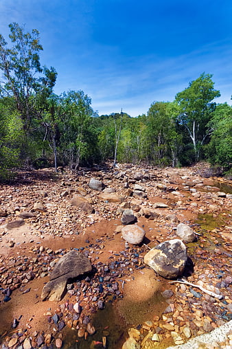 Dry rocky creek bed with red soil and tropical trees