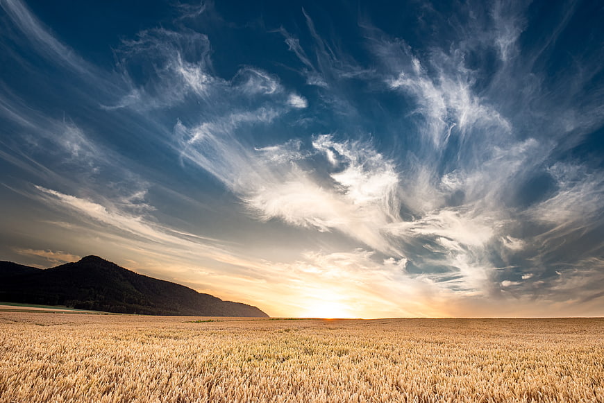 Golden wheat field landscape with dramatic sunset and clouds