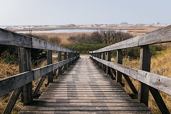 Wooden boardwalk path leading to coastal dunes and marsh