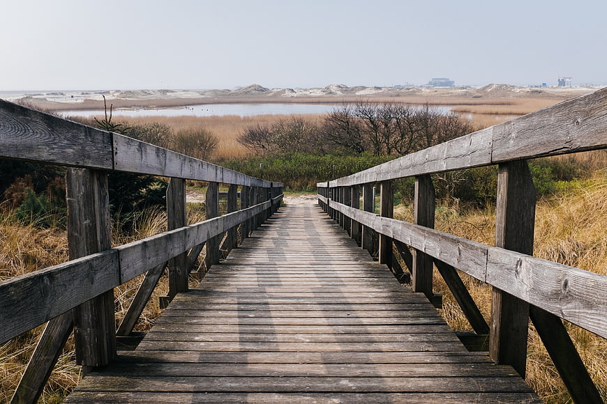 Wooden boardwalk path leading to coastal dunes and marsh