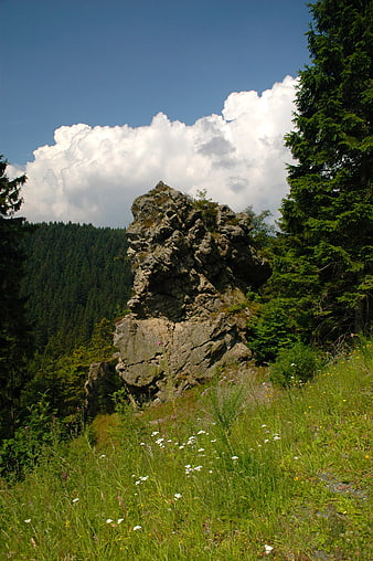 Large Rock Formation in Alpine Meadow with Forest Background