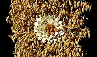 Artistic flower made of pumpkin seeds on dried oats