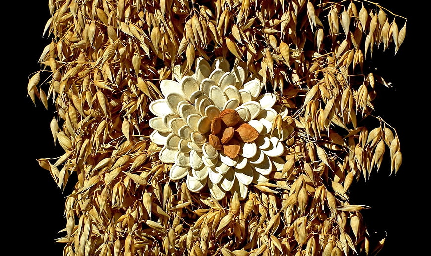 Artistic flower made of pumpkin seeds on dried oats
