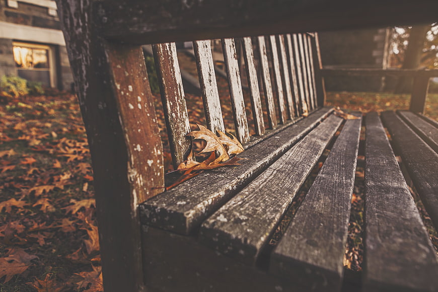 Weathered Wooden Park Bench with Autumn Leaves