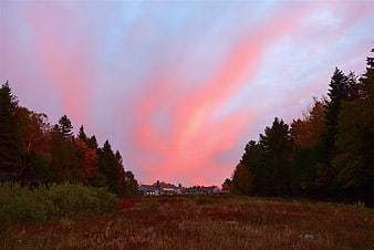 Dramatic Pink Sunset Sky Over Autumn Forest and House