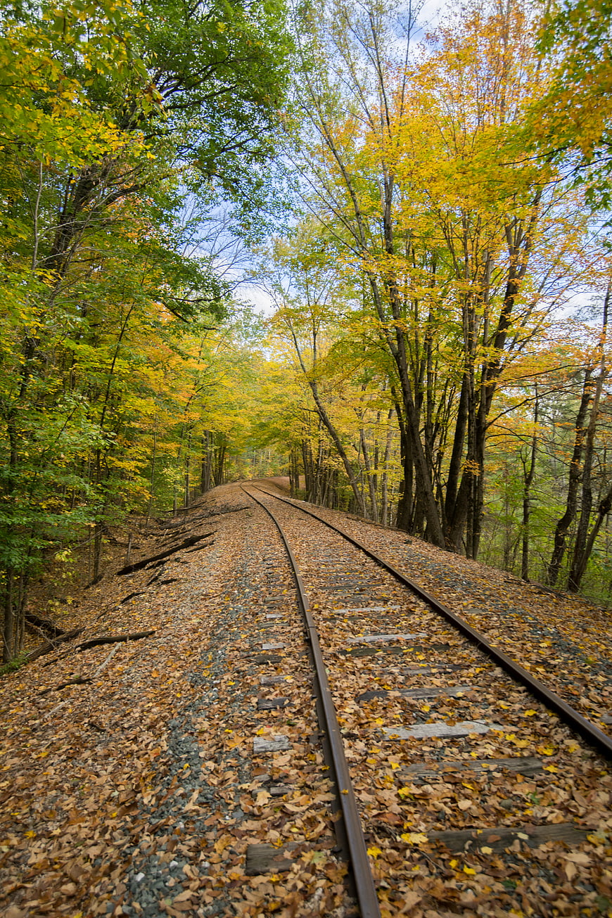 Autumn Train Tracks Winding Through Colorful Forest