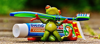 Cute Green Frog Figurine Holding Toothbrush And Toothpaste Tube
